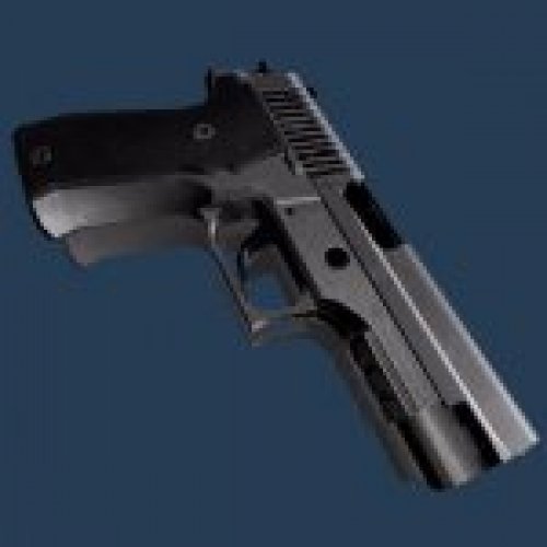 SIGARMS P226 Stainless