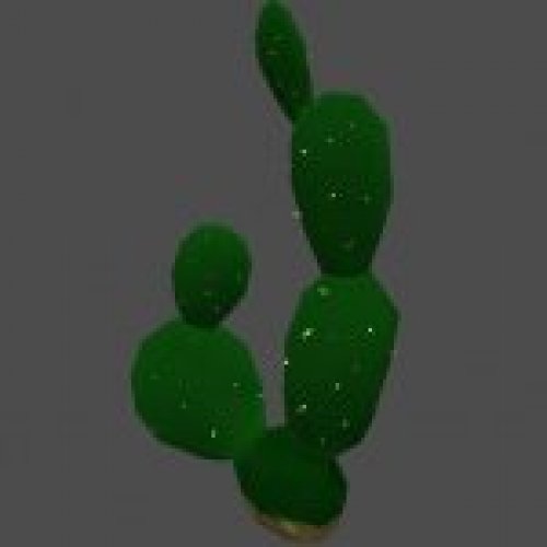 s_cactus2