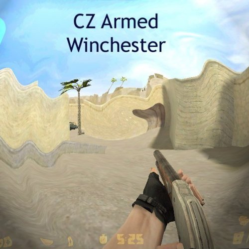 cz armed winchester