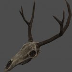 tesv_deerskull