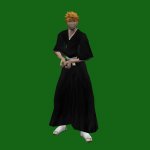 Ichigo2