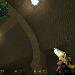Phonged Two Tone Gold Deagle