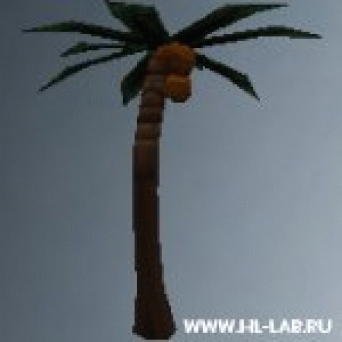palmtree_small.zip