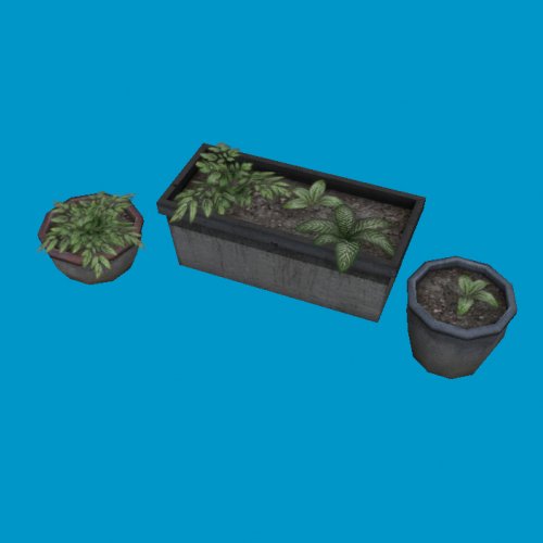 potted plants01