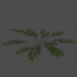 byka_bush2