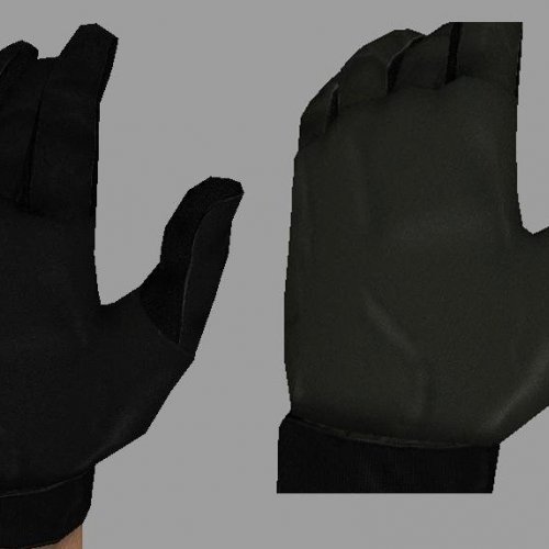 Werd_s_Gloves