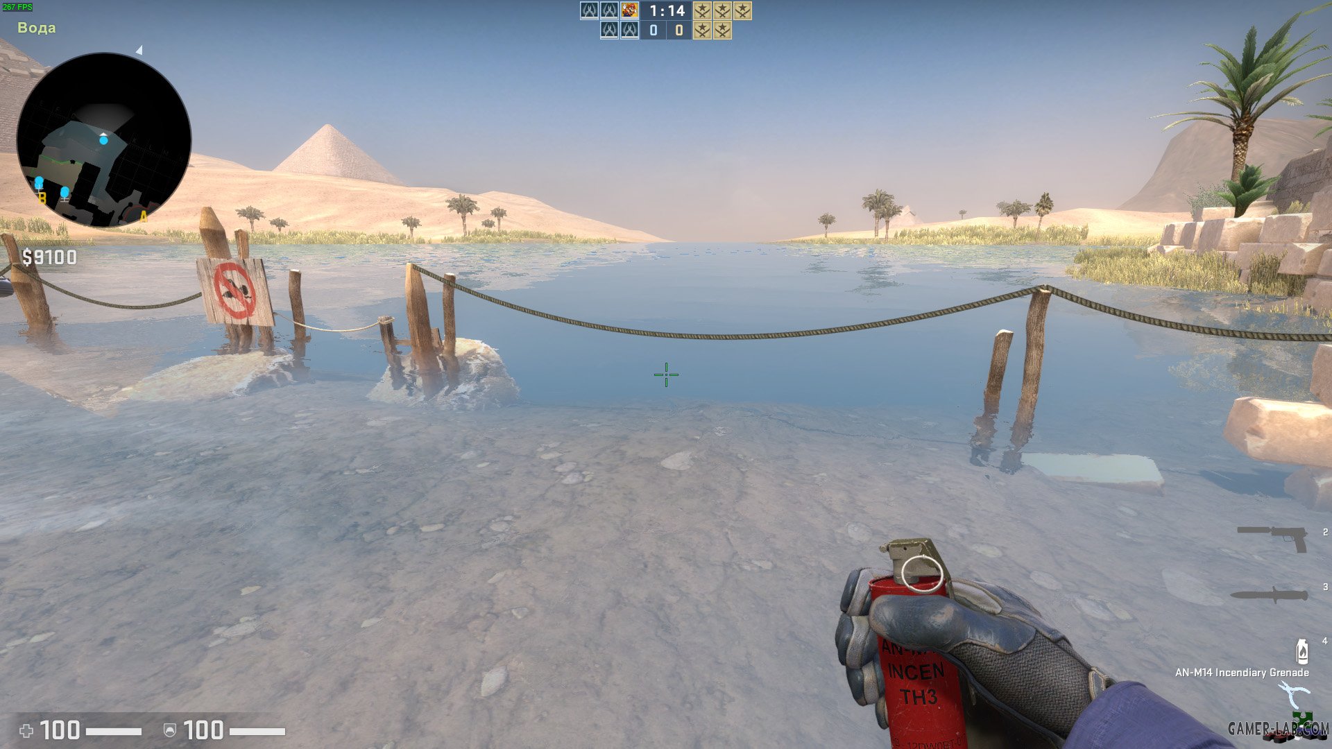 Insurgency: Sandstorm Grenades - Grenades - Counter-Strike: Global ...