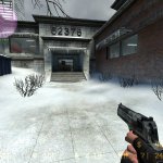 Carbon grip Deagle