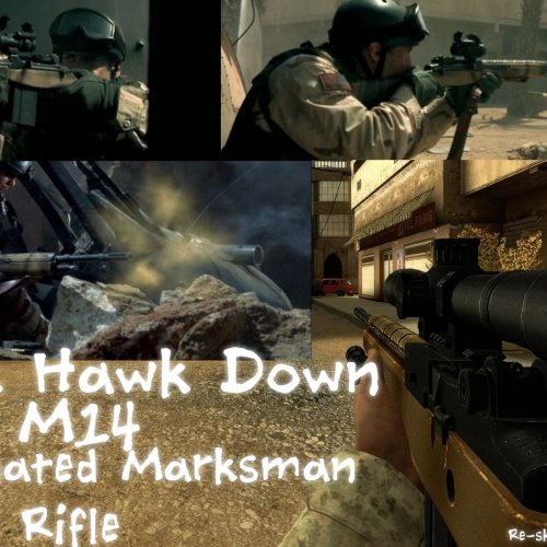 Black_Hawk_Down_M14_DMR