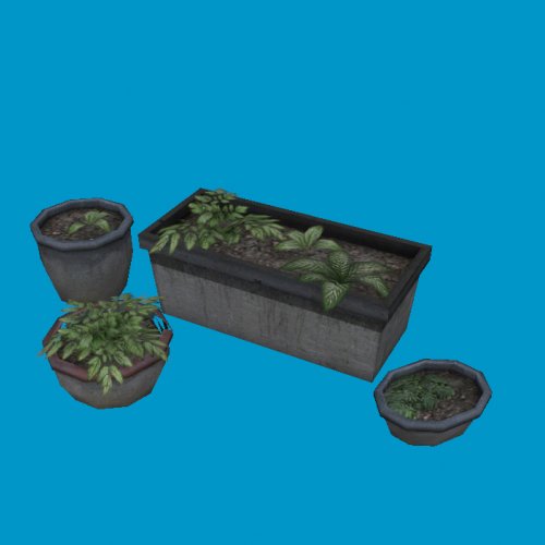 potted plants05