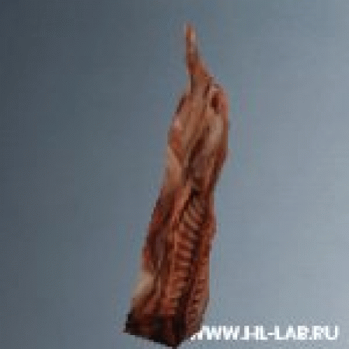 meat_hanging