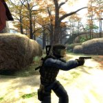 SoJa&acute;s Tokarev Anims