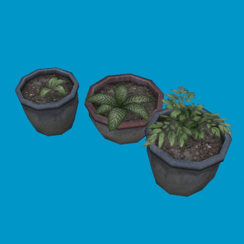 potted plants06