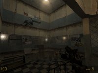 dm_mentalhospital_b41