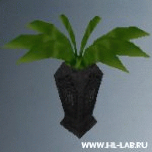 pot_leaves4