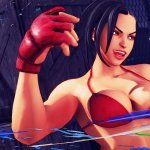 Laura Wrestling Costume