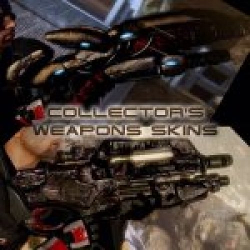 Collector's Weapons Skin