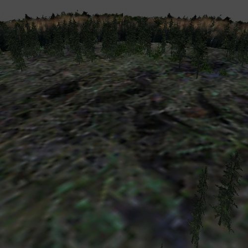 forest3d