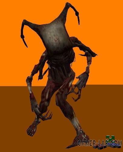 HL2 Fast Zombie - Ground monsters - NPC, monsters - Goldsrc warehouse ...