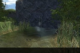 fy_woods