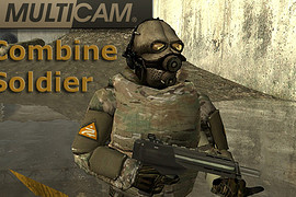 Multicam® Combine Soldier