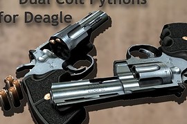 dual revolvers