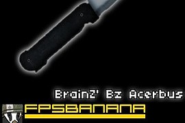 BrainZ_Acerbus_01