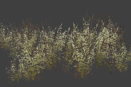grass_pack4_large