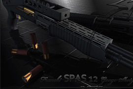 Spas 12