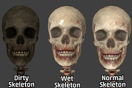 Skeletons