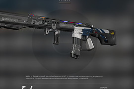 M16A2 Police