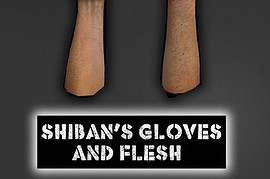sHiBaN_s_Glove_And_Flesh_Skins