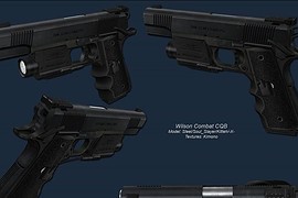 Wilson Combat CQB