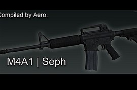 Seph's Bushmaster M4 Carbine