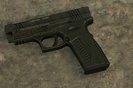 PD2 LEO pistol