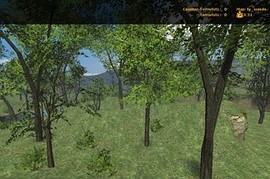fy_woods