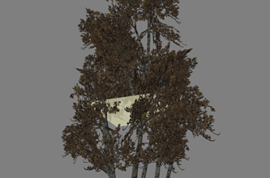 4 дерева из Left 4 Dead в одной модели