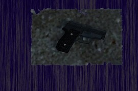 P228 Reskin