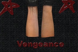 Pursuit_Of_Vengeance