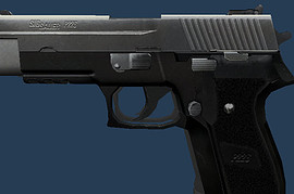 SIG P226 Two Toned