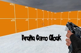 Arctic Camo Glock