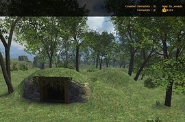 fy_woods