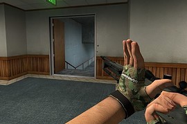 Camo_(WoodLand)_Gloves