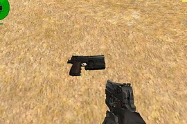 Deagle on Anti Pirate anims