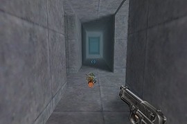 half_life_pool_day2