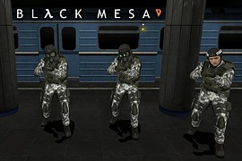 Black Mesa Marines