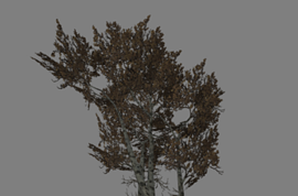 4 дерева из Left 4 Dead в одной модели