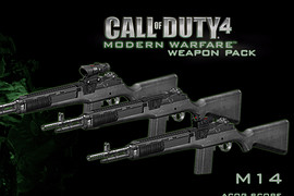 Call of Duty 4 M14