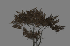 4 дерева из Left 4 Dead в одной модели