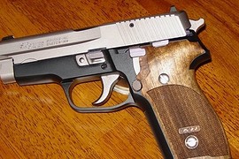 Papuchongo's Custom P228